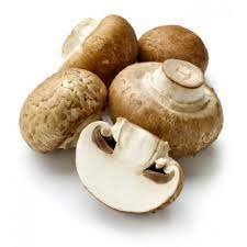 Steinchampignons