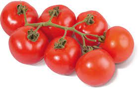 Strauchtomaten
