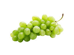 Traube kernlos weiß demeter
