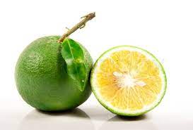 Satsumas grün DEMETER