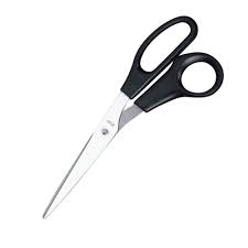Printus Edelstahl-Schere