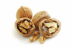 Walnüsse (Hofgut Brachenreuthe)